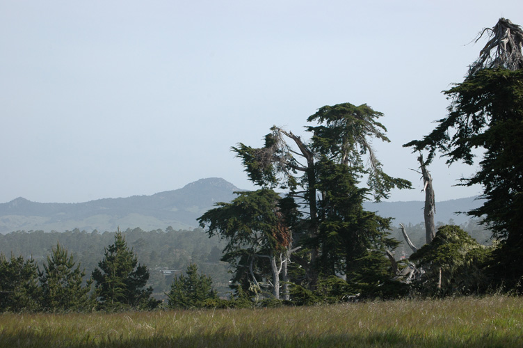 Upper Fiscalini Trail 024.jpg